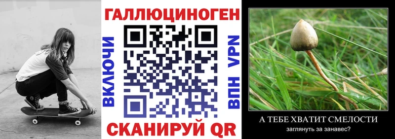 Псилоцибиновые грибы мицелий  где продают наркотики  Дербент 