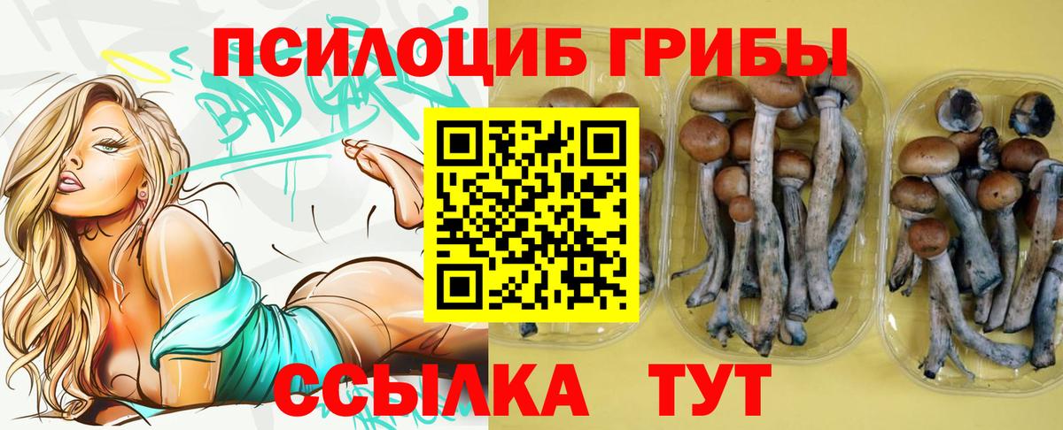 Галлюциногенные грибы GOLDEN TEACHER Дербент