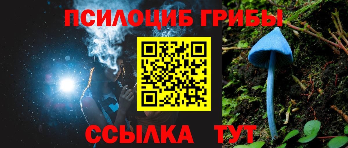 Псилоцибиновые грибы прущие грибы  даркнет сайт  Псилоцибиновые грибы ЛСД  Дербент  Вход с VPN 
