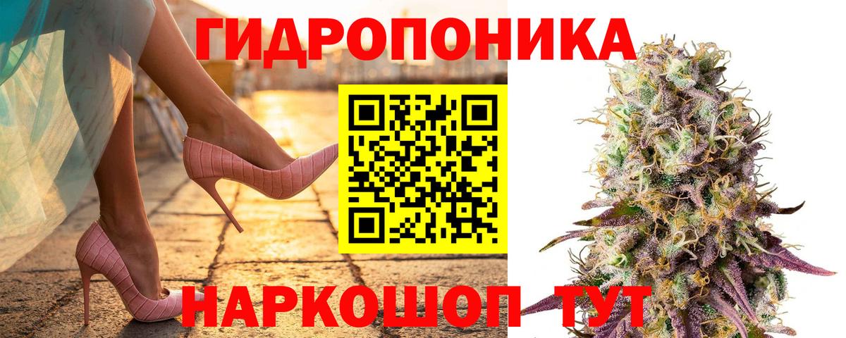 Канабис White Widow  Каннабис THC 21%  Вход с VPN  Дербент  Шишки марихуана Ganja  Шишки марихуана VHQ 